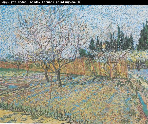 Vincent Van Gogh Flowering orchard with peach-trees